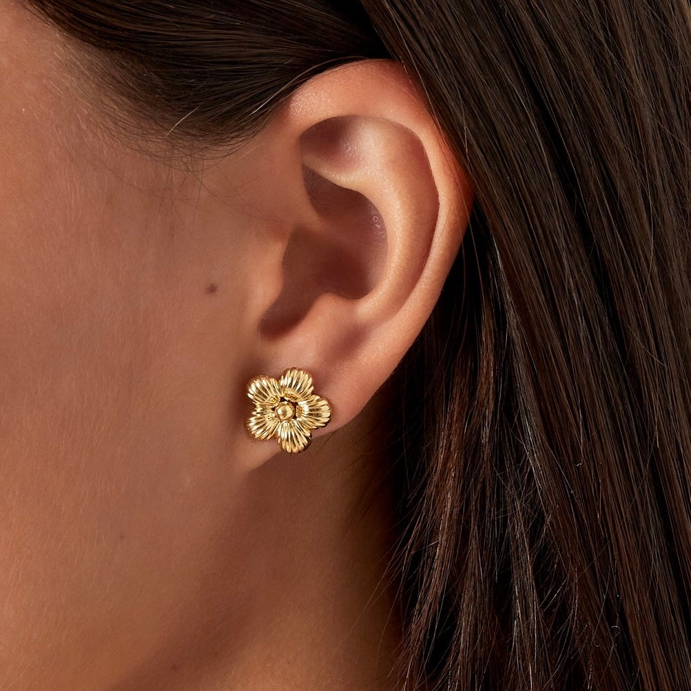 Oorbellen | Maddie zilver