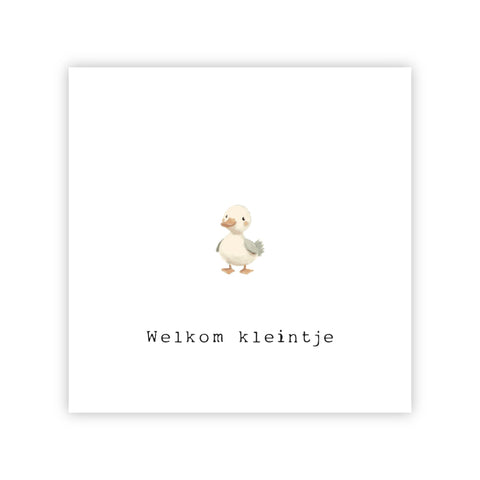 Wenskaart | Welkom kleintje
