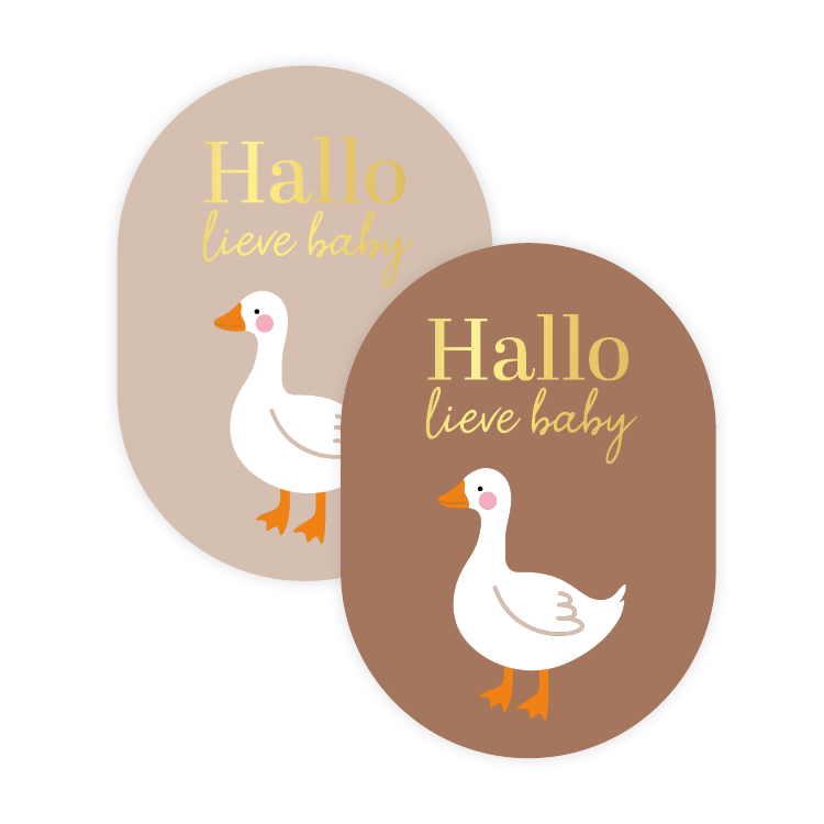 Cadeaustickers | Hallo lieve baby 10 stuks goudfolie