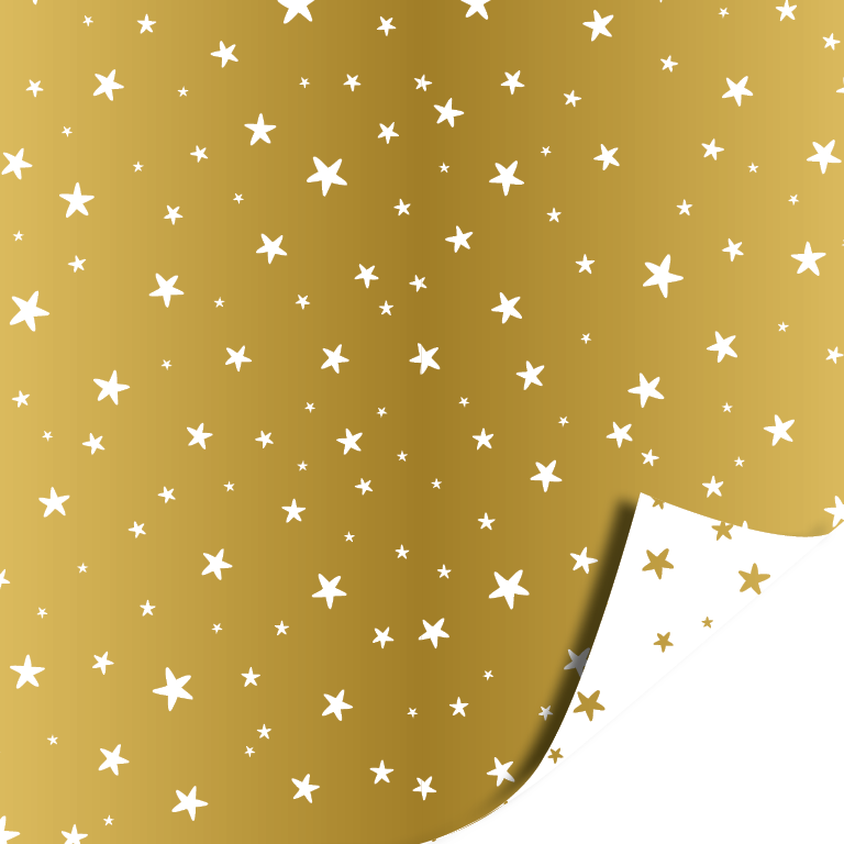 Cadeaupapier | Set van 5