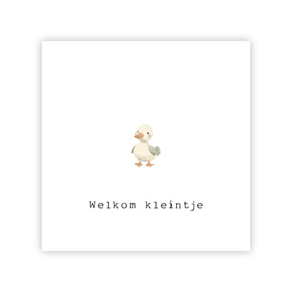 Wenskaart | Welkom kleintje
