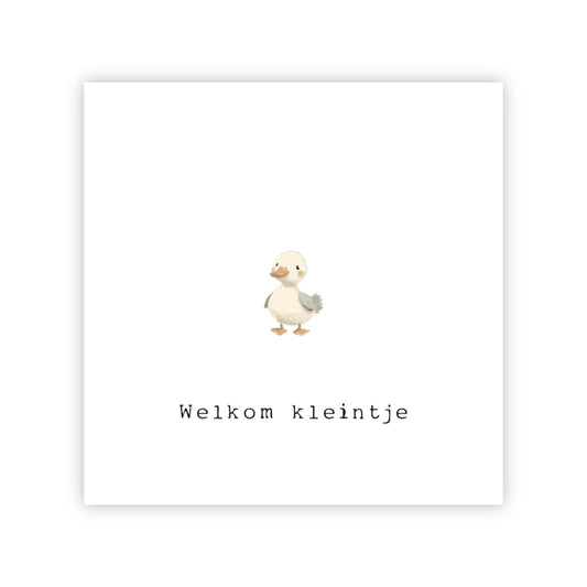 Wenskaart | Welkom kleintje