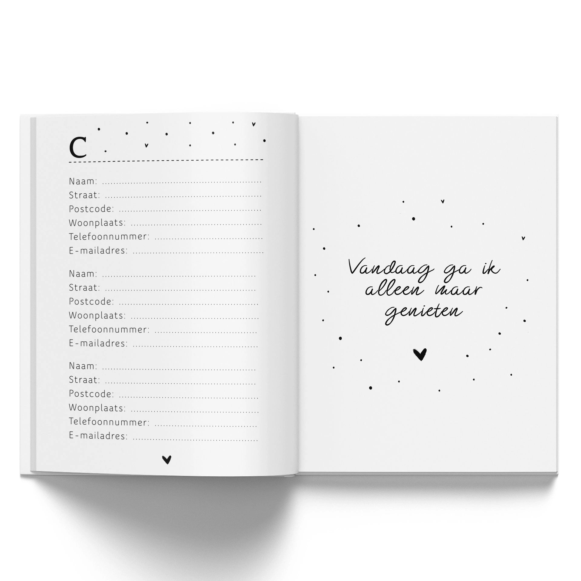 Invulboek | Mijn adresboekje