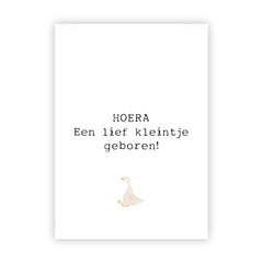 Dubbele wenskaart | Hoera een lief kleintje geboren