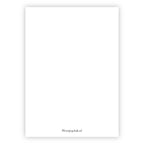 Wenskaart | Blanco giraf en zebra