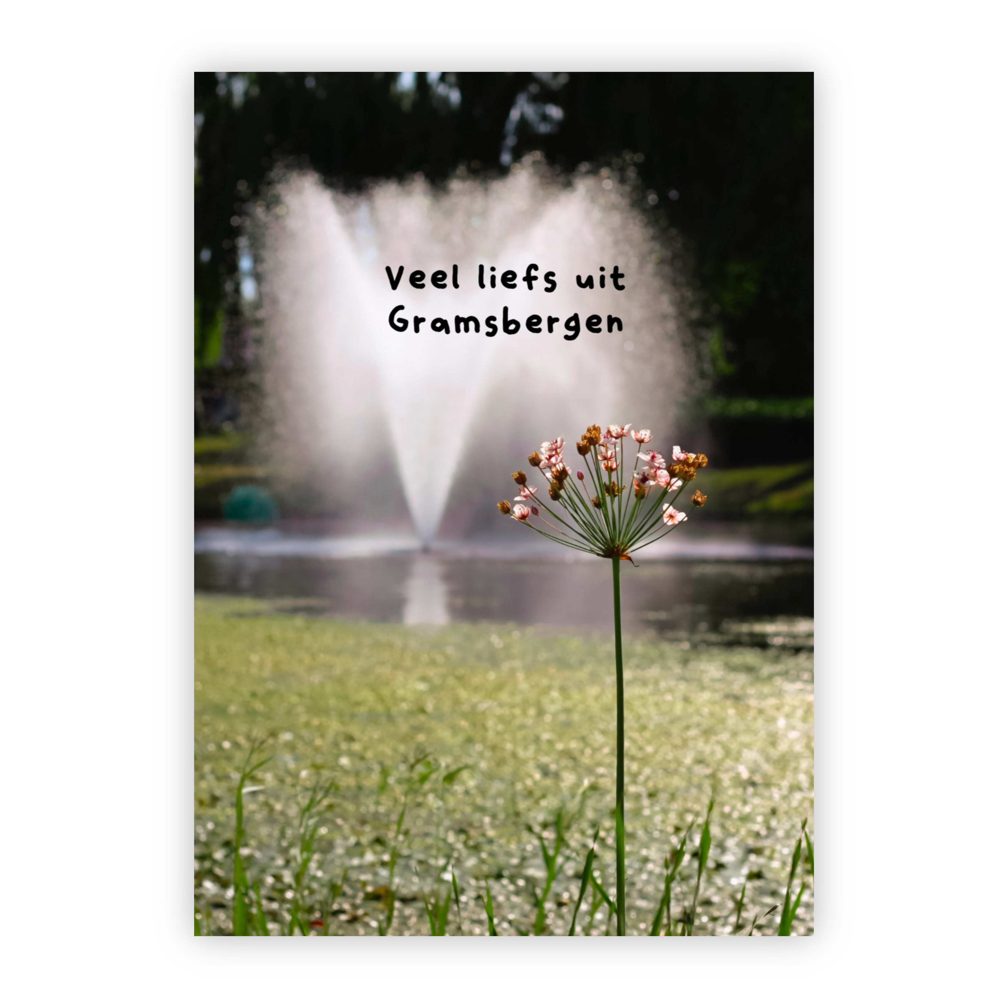 Wenskaart | Veel liefs uit Gramsbergen